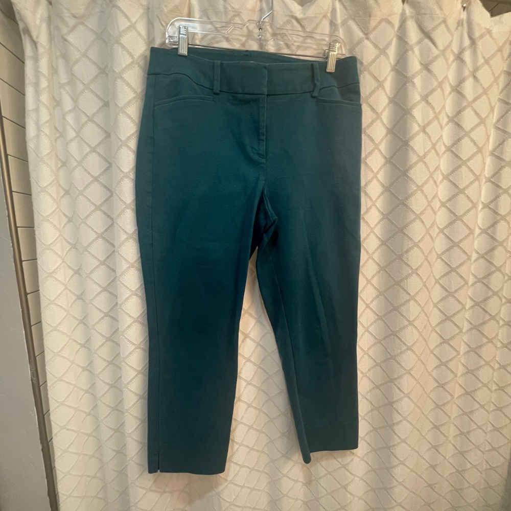 LOFT Julie riviera teal turquoise pants